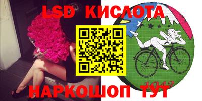 крисы Кулебаки