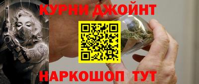 крисы Кулебаки