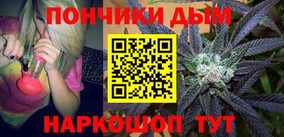 крисы Кулебаки