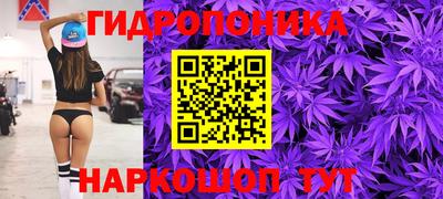 крисы Кулебаки