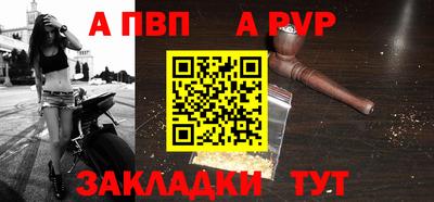 крисы Кулебаки