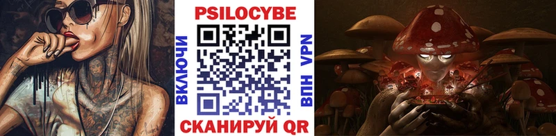 Псилоцибиновые грибы MAGIC MUSHROOMS  Кисловодск 