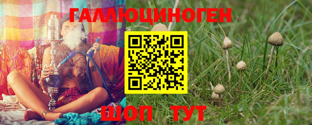 Галлюциногенные грибы GOLDEN TEACHER  Вход с VPN  хочу наркоту  Псилоцибиновые грибы мицелий  Кисловодск 