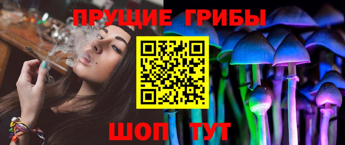 Галлюциногенные грибы Magic Shrooms Кисловодск